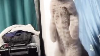 Cat reaction when seeing cat cake cut
