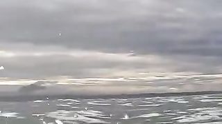 I might have to check my shorts if I saw this shark so close!