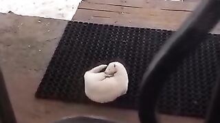 Ну вот поели, можно и поспать..