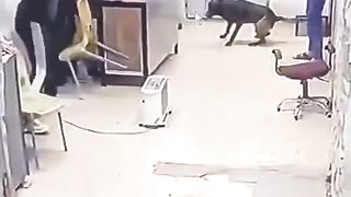 Dog power haha ????????????????????????????