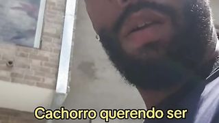 Cachorro querendo ser louco e louco requerendo ser cachorro