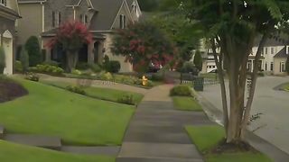 "Strolling in Tranquil American Vibes: A Peaceful Neighborhood Experience"