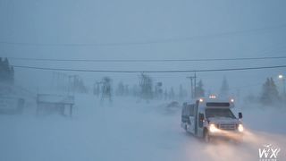 Mega California Blizzard 2024