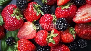 Forest Berries on a Rotating Background