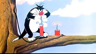 tom and jerry cartoon tom attack jerry