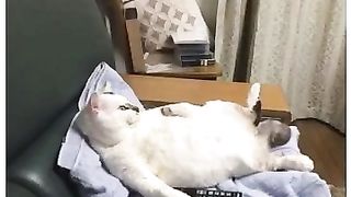 Хотите пожать вот пожалуйста