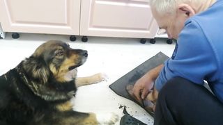 Брось эту затею, погладь меня.