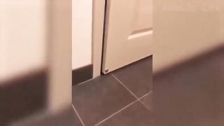 Funny Pets will Brighten Your Day!!! (Funny Pet Compilation, Clean, No Swearing)