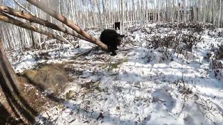 И на последок пробежка