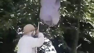 Wasp stung