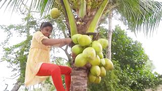 Top New Trending Funny Video Of 2024