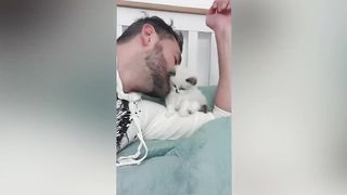 Stalker Trouble - Cats want Human Companionship Every Time, Every Where - Cat an