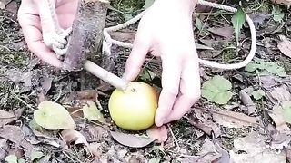 Survival Traps