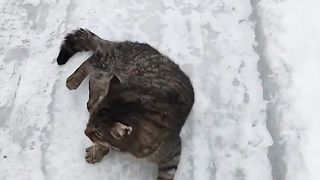 21 февраля 2024 г.