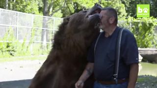 Our Big Bear Family