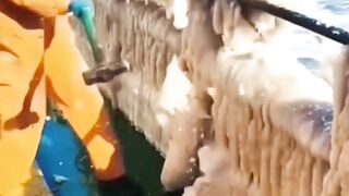 Frozen ship #frozen #ocean #icebreaker