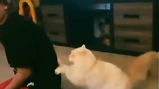 Пойман на месте преступления!