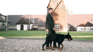 A Walk of Success: A Wealthy Businessman Strolls with His Elegant Doberman Companion