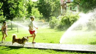 Puppy Playdate: Girls and Their Furry Friend Frolic in the Park