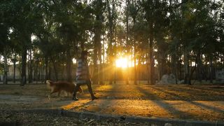 A Walk in the Park: A Woman and Her Dog Enjoy a Sunny Stroll