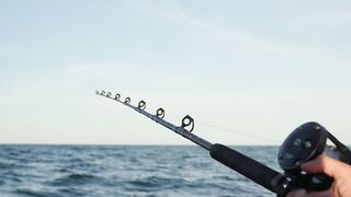 Person holding fishing rod