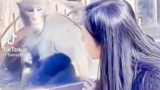 Animal fun