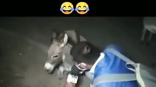 Sotu ki moj ????????????????????????