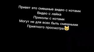 Смешные видео с животными приколы подборка с лайка 4 часть