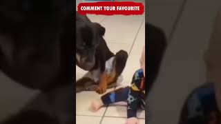 Baby Walk Funny Dog ????