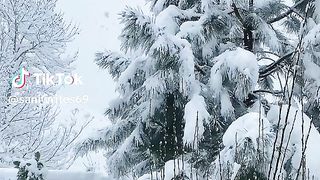 Chitral snow fall