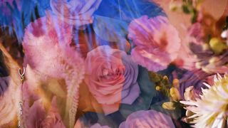 A Gay Boy's Joyful Appreciation of Nature - A Colorful Journey Through a Garden of Flowers