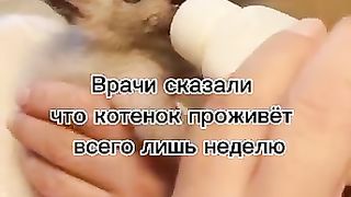 Так хочется жить.