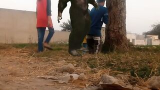 Amazing Video
