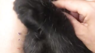 Panther mignon