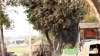 Excuse me I need a ride