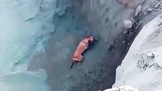 Helpless dog rescued in a brilliant and creative way.