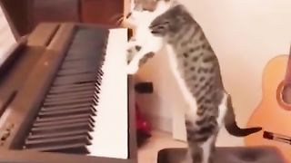 Best Funny Animal Videos 2024 Part 23