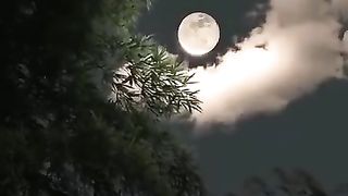 Beautiful Nature Episod 2