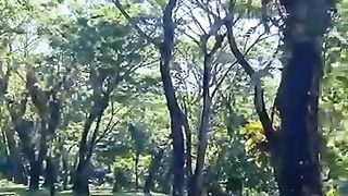 Beautiful Nature Episod 7