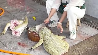 Crocodile meat
