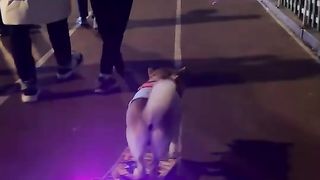 狗狗也有交通工具滑著滑板來逛街