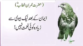 Aqwal hazrat ummar bin khattab