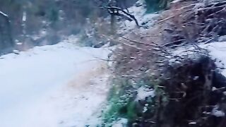 Snowfall