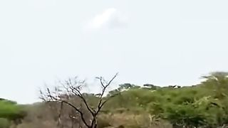 in water it dies and on land it dies