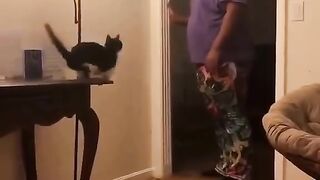 #funny