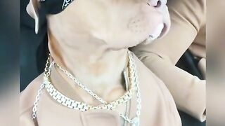 THE REAL SNOOP DOG hyped