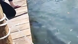 #funny
