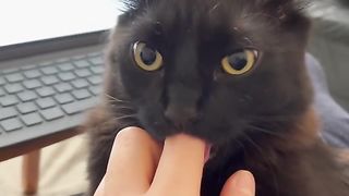#funny