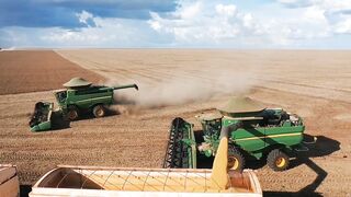Esse é o agronegócio brasileiro riqueza do país #Soja #Arroz #Milho #Feijão