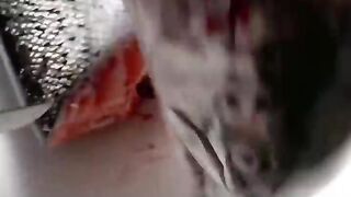 Food cutting skill